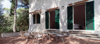 Spacious villa, surrounded by a pine forest, 300 meters from the sea and the town