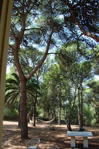 Geräumige Villa, umgeben von einem Kiefernwald, 300 Meter vom Meer und dem Dorf entfernt