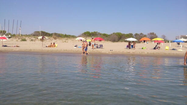 A beach with people, umbrellas, and beach chairs.