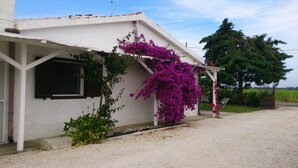 A white building with a covered porch, a window with shutters, and purple bougainvillea vines.