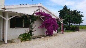 Terrain de l’hébergement 