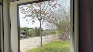 A window with a view of a driveway, a parked car, a bicycle, and a tree with pink blossoms.