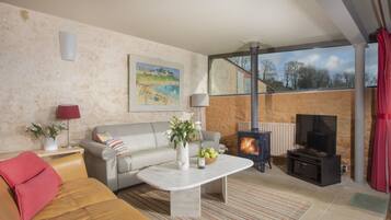 Télévision, cheminée, lecteur de DVD, chaßne hi-fi