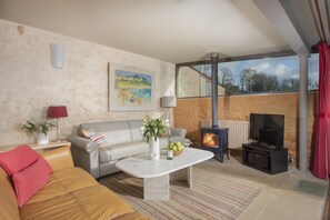 Télévision, cheminée, lecteur de DVD, chaîne hi-fi