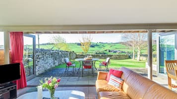 Télévision, cheminée, lecteur de DVD, chaßne hi-fi