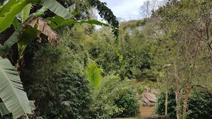 Un exuberante jardín con diversas plantas y un banco de madera.
