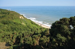 A coastal landscape with dense greenery and a beach.