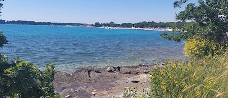 On the beach