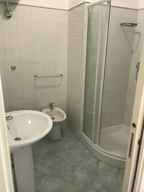 Shower, hair dryer, bidet