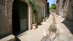 A narrow alleyway with stone buildings, a potted plant, and a metal grate on the ground.
