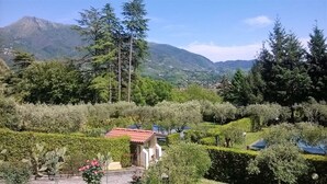 Un jardin agrémenté d’un petit bâtiment, entouré d’une végétation luxuriante et avec des montagnes en toile de fond.