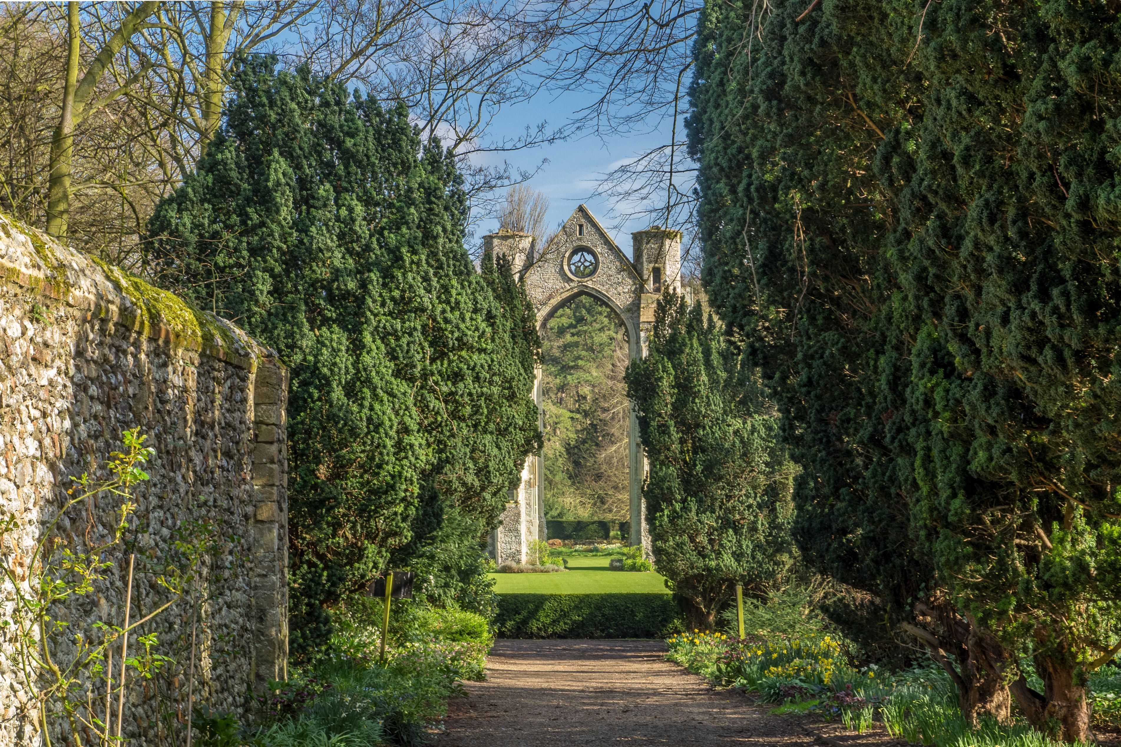 A pathway leading to a historic building with a clock tower, surrounded by dense greenery and stone walls.