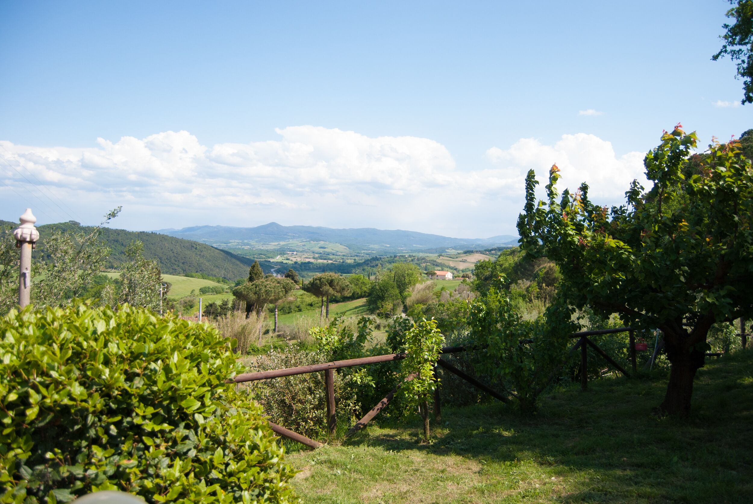 Parco della struttura