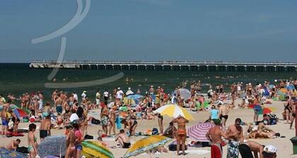 Fantasticamente Grande Casa de Luxo - até 600m², Jacuzzi, Sauna