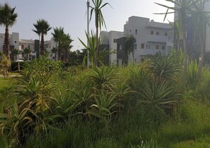 المنطقة المحيطة بالمنشأة