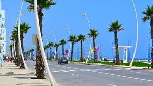 Una carretera costera bordeada de palmeras y farolas, que conduce a una zona de playa con banderas y un pabellón blanco.