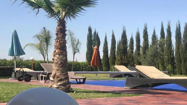 A poolside area with lounge chairs, a palm tree, and a clear blue sky. - Superb villa in Marrakech 4435 (Marrakech)