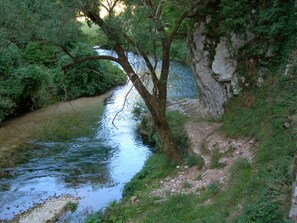 A narrow river with dense greenery on both sides.