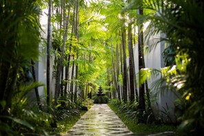Stroll through lush gardens, leading to a serene water feature.