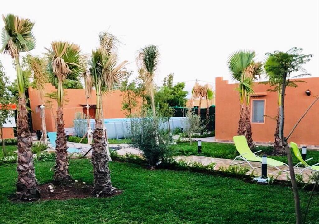 A garden with palm trees, a swimming pool, and outdoor seating.