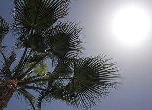 Terrain de l’hébergement 