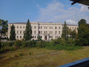 Vista des de l'habitació