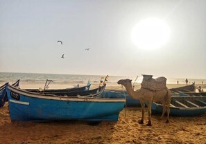 靠近海滩
