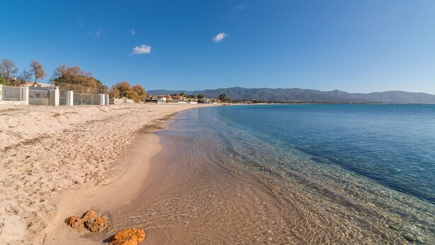 Una playa con agua cristalina, orilla arenosa y casas a lo largo de la costa.