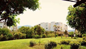A well-maintained grassy area with trees and shrubs, surrounded by multi-story buildings with balconies. - Beautiful Studio in Playa Del Pacha 4429 (Mdiq)