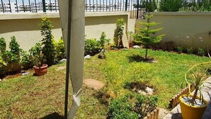 Un jardin sur le toit, agrémenté de diverses plantes en pot, offrant une vue dégagée sur le paysage urbain en arrière-plan.