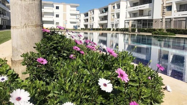 Un hôtel moderne doté d’une piscine, entouré d’une végétation luxuriante et de fleurs.