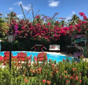 A pool area with red lounge chairs, a signboard, and lush pink flowering plants.