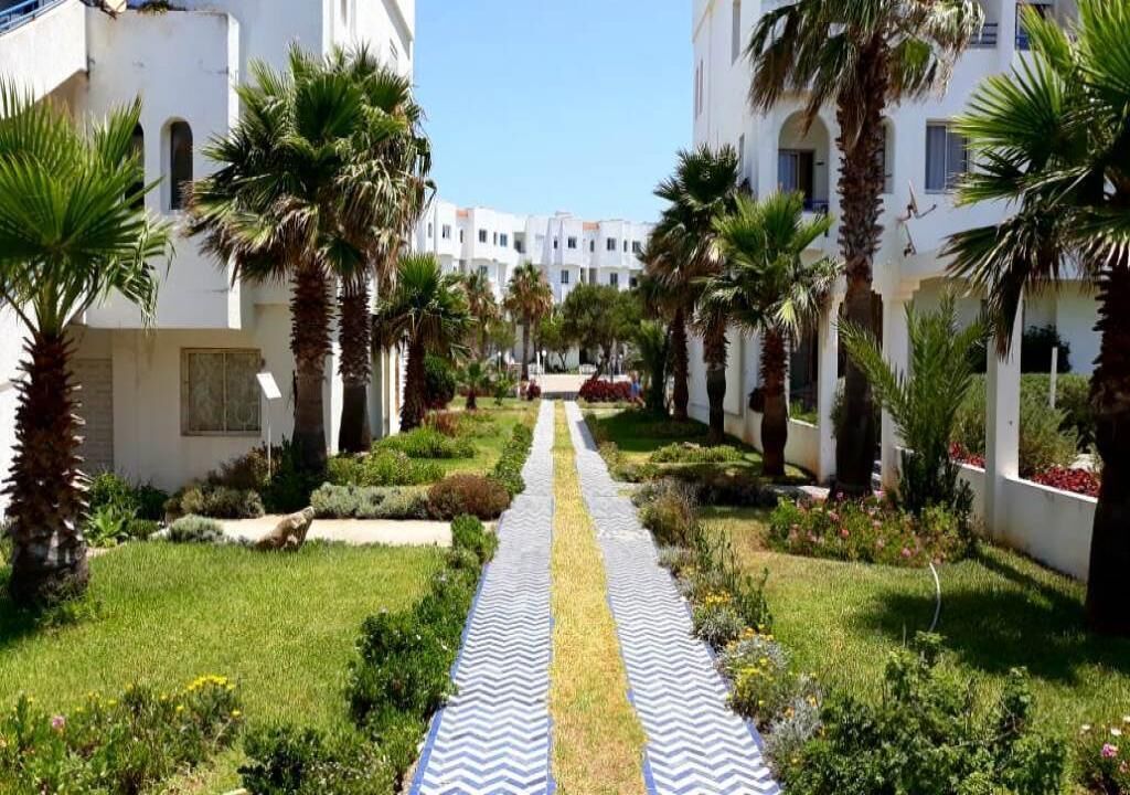 A pathway flanked by palm trees and white buildings, leading to a distant structure.