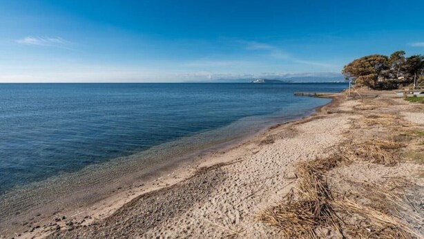 Une plage avec une eau d’un bleu limpide, un rivage sablonneux et quelques plantes.