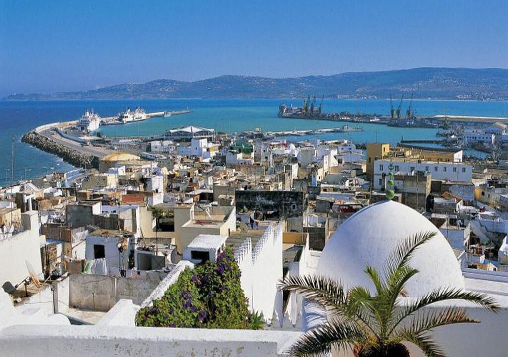 A coastal town with white buildings, a large white dome structure, and a harbor with ships.
