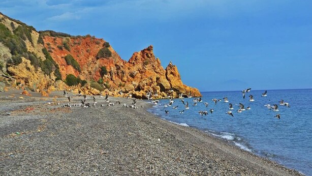 A pebbled beach with rocky cliffs and birds flying over the water. - Sea View Apartment in the center of Oued Laou 4208 (Oued Laou)