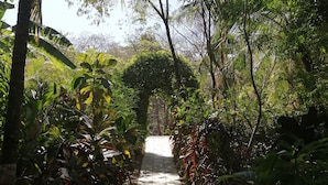 A pathway surrounded by lush greenery and palm trees, leading to a shaded area.