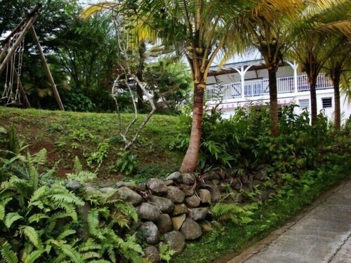 Quiet cottage in beautiful location on the edge of rainforest,