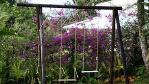 A wooden swing set in a lush garden with purple flowers and greenery. - Quiet cottage in beautiful location on the edge of rainforest, (Unknown)