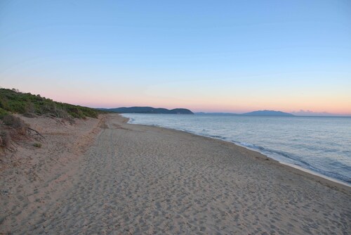 Der Fuchs des Leuchtturms. Ferienhaus umgeben von viel Grün 
