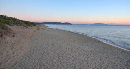 Der Fuchs des Leuchtturms. Ferienhaus umgeben von viel Grün