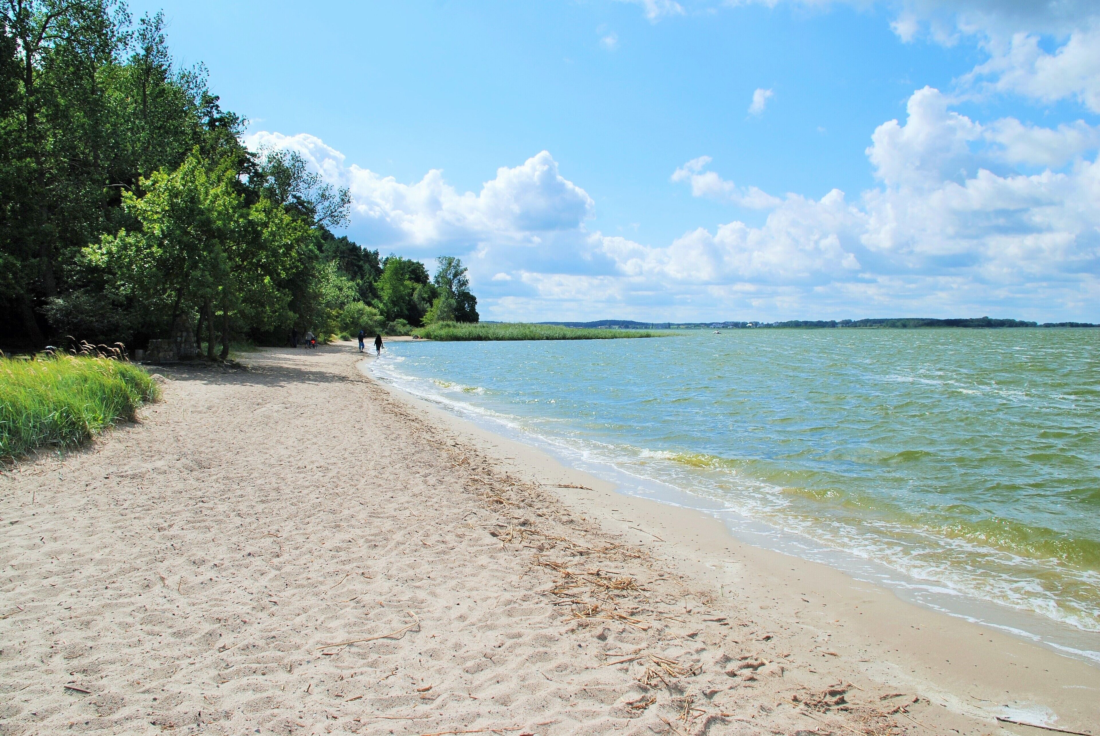 Sun loungers
