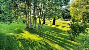 A well-maintained lawn with a row of trees casting shadows.