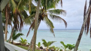 Blick auf einen Strand mit Palmen und einer Rasenfläche.