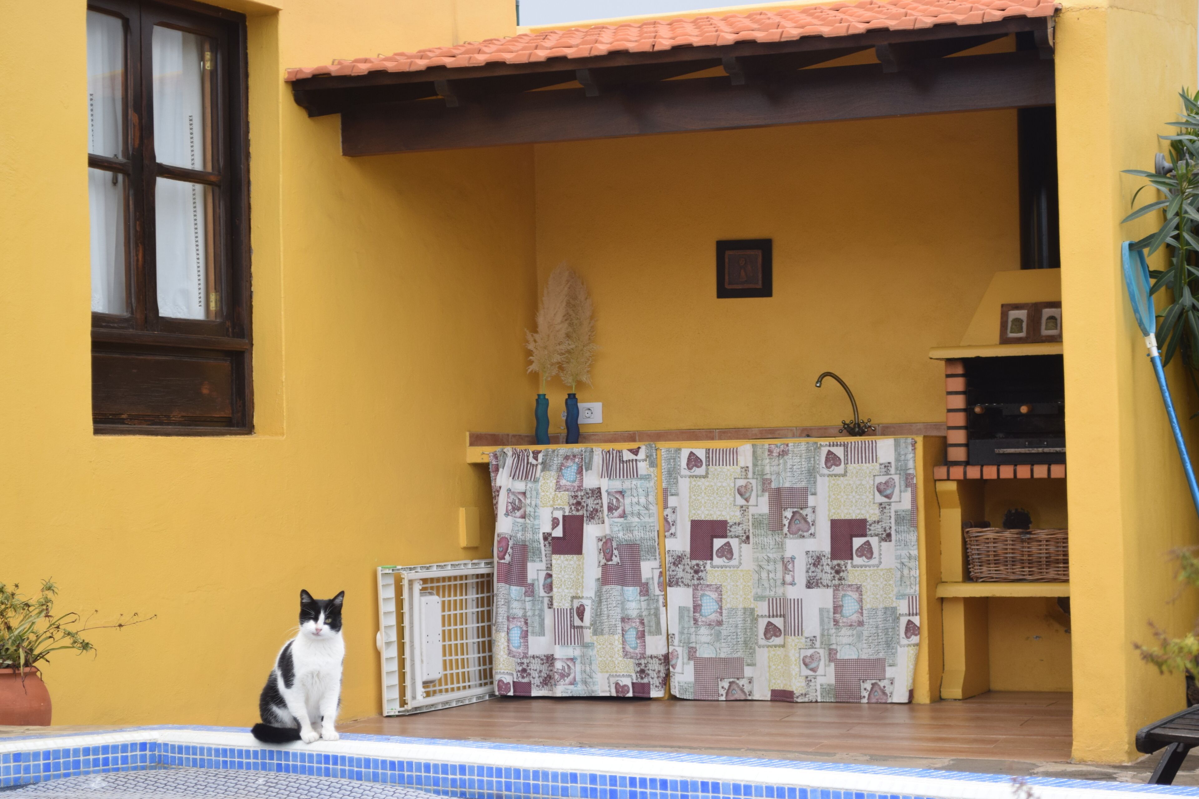 A yellow building with a tiled roof, a window, a small sink, and a potted plant.