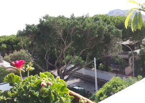A residential area with a large tree in the foreground, a white fence, and a building with a tiled roof in the background.