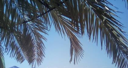 Afficher tous les commentaires Afficher tous les commentaires Afficher tous les commentaires Afficher tous les commentaires Afficher tous les commentaires Afficher tous les commentaires Afficher tous les commentaires Afficher tous les commentaires