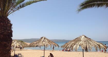 Afficher tous les commentaires Afficher tous les commentaires Afficher tous les commentaires Afficher tous les commentaires Afficher tous les commentaires Afficher tous les commentaires Afficher tous les commentaires Afficher tous les commentaires