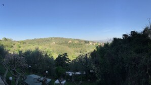 Vista de una colina con edificios y árboles.