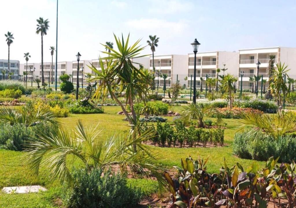 A hotel courtyard with palm trees, a well-maintained lawn, and a modern building in the background.